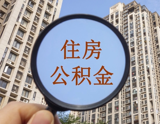 查询公积金-临清公积金代办平台